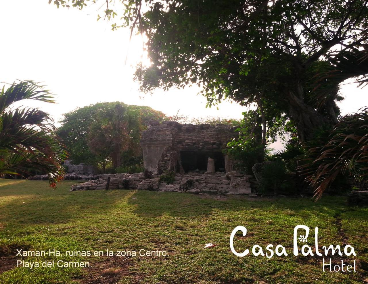 Casa Palma Hotel Playa del Carmen Dış mekan fotoğraf