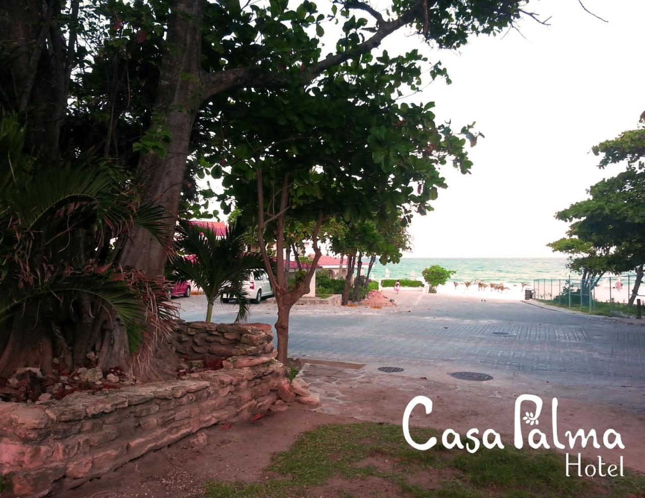 Casa Palma Hotel Playa del Carmen Dış mekan fotoğraf